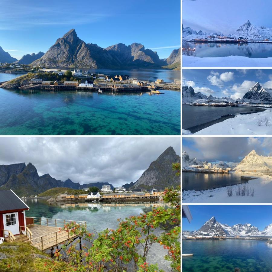 Lofoten Suite Apartments - Rostad Retro Rorbuer Reine Zewnętrze zdjęcie